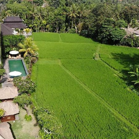 Byasa Ubud Extérieur photo