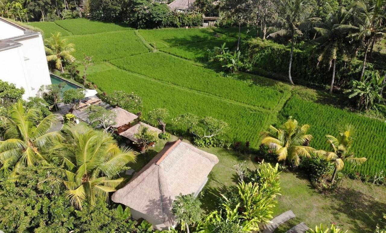 Byasa Ubud Extérieur photo