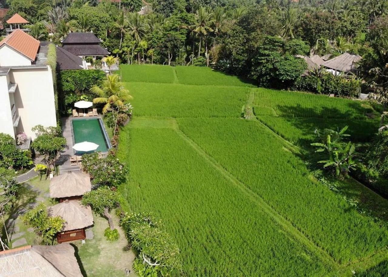 Byasa Ubud Extérieur photo