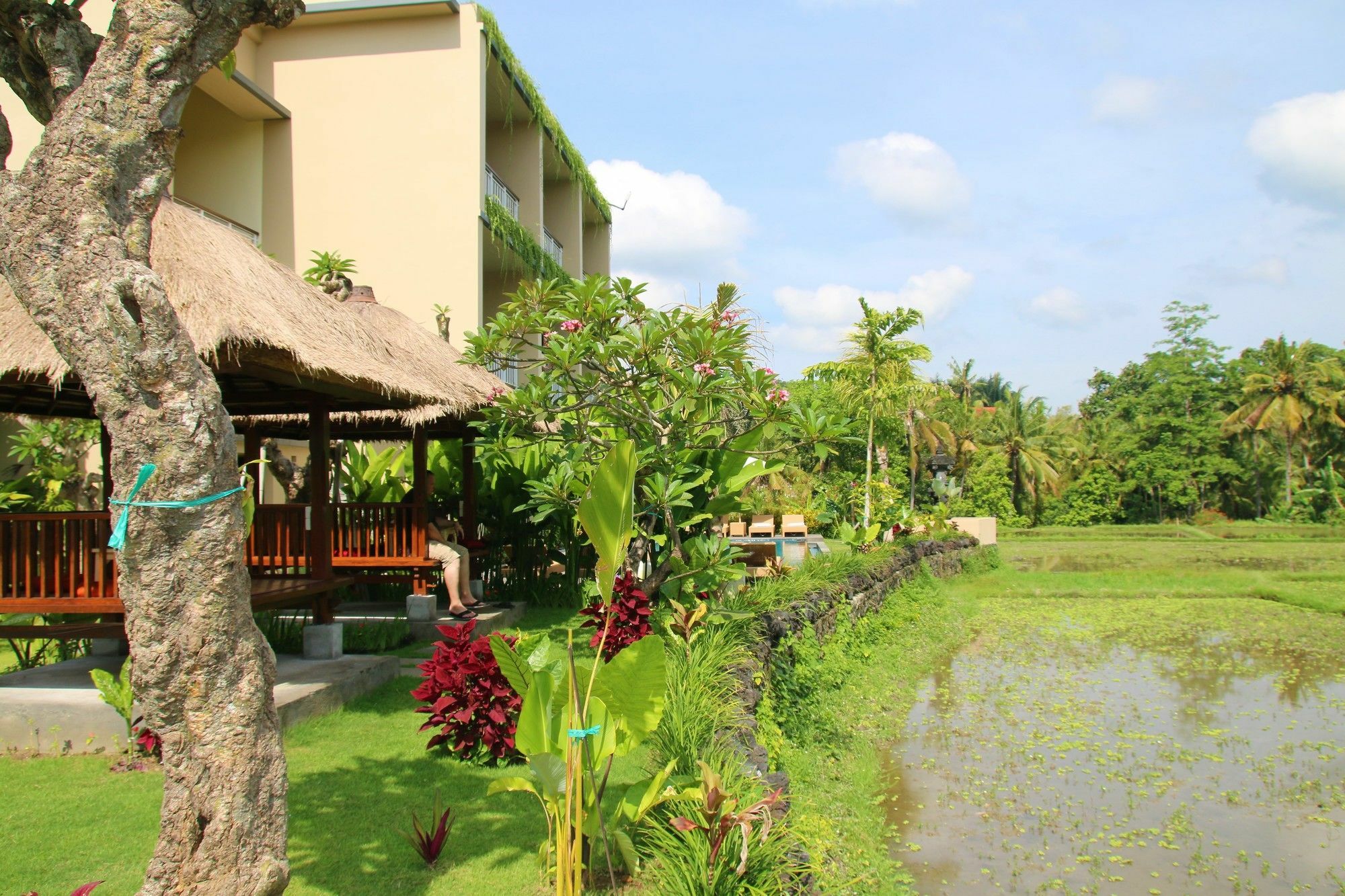 Byasa Ubud Extérieur photo