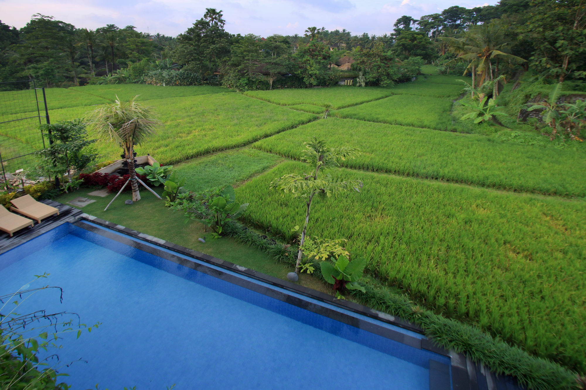 Byasa Ubud Extérieur photo