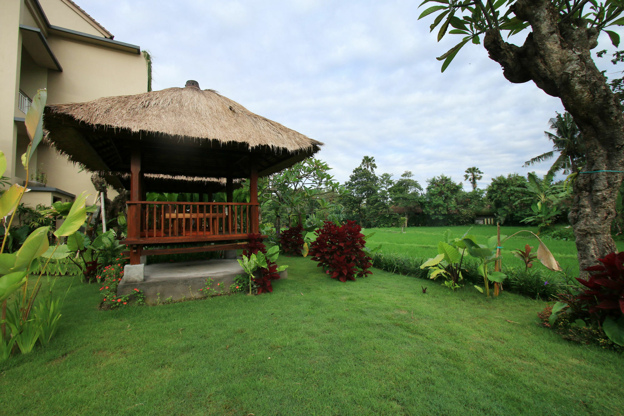Byasa Ubud Extérieur photo