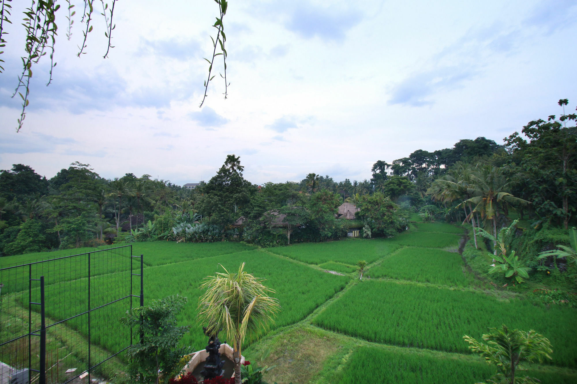 Byasa Ubud Extérieur photo