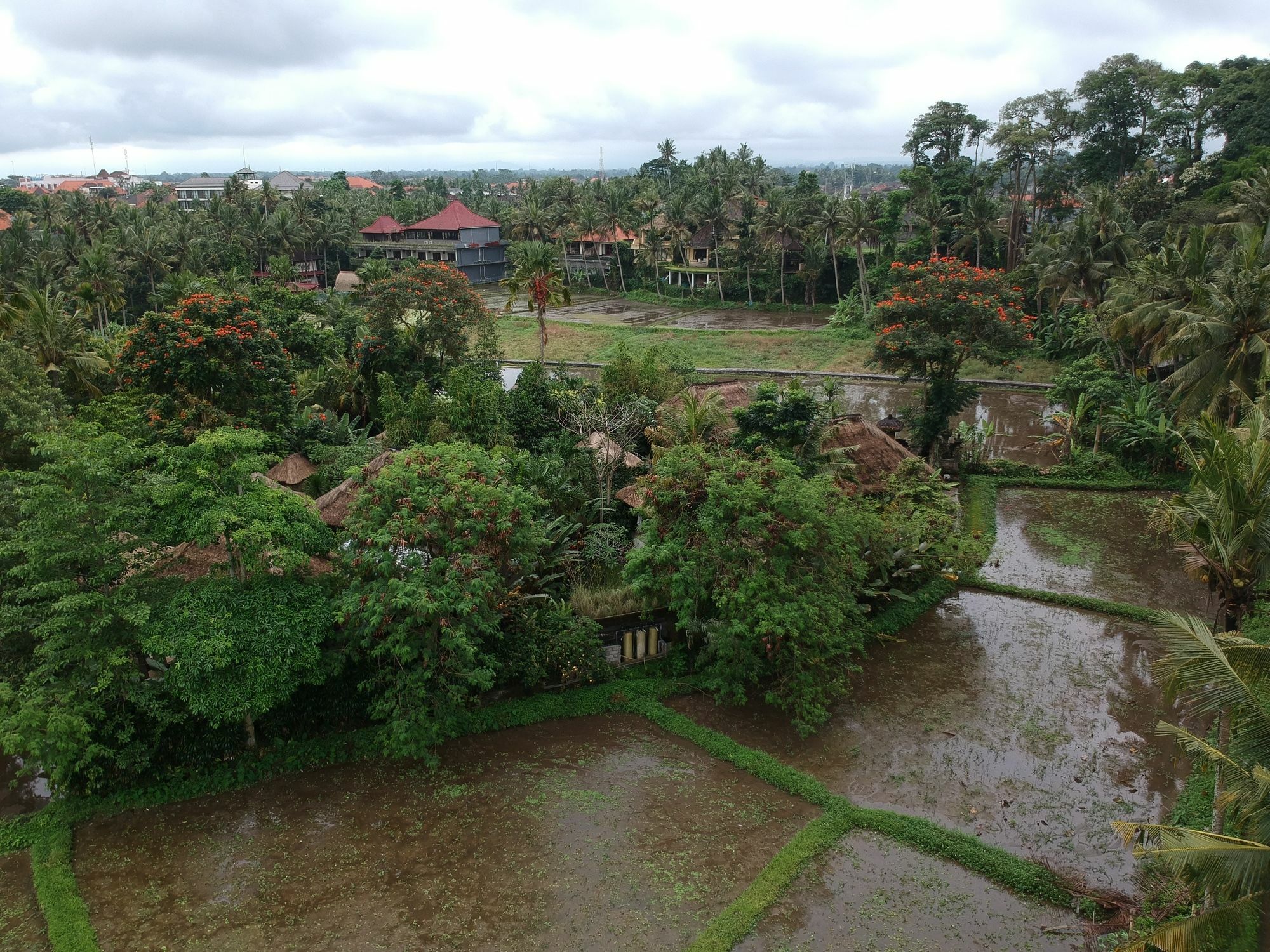 Byasa Ubud Extérieur photo