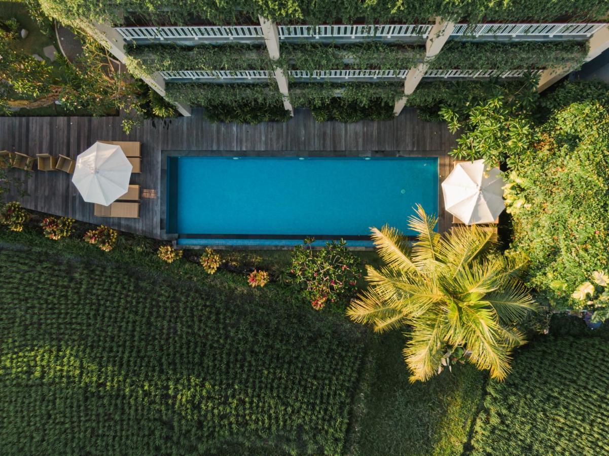 Byasa Ubud Extérieur photo